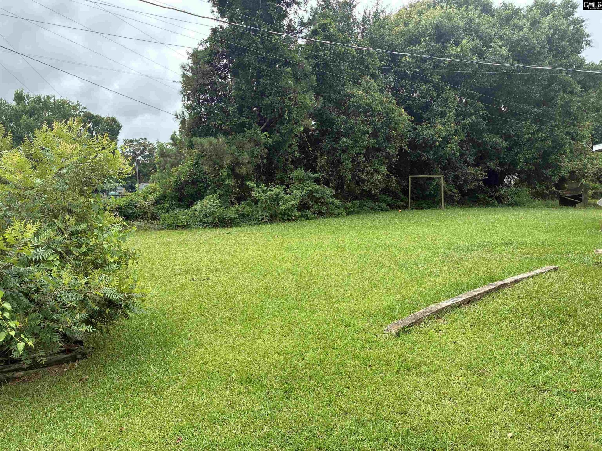 374 Old Whitmire Highway  Photo 10