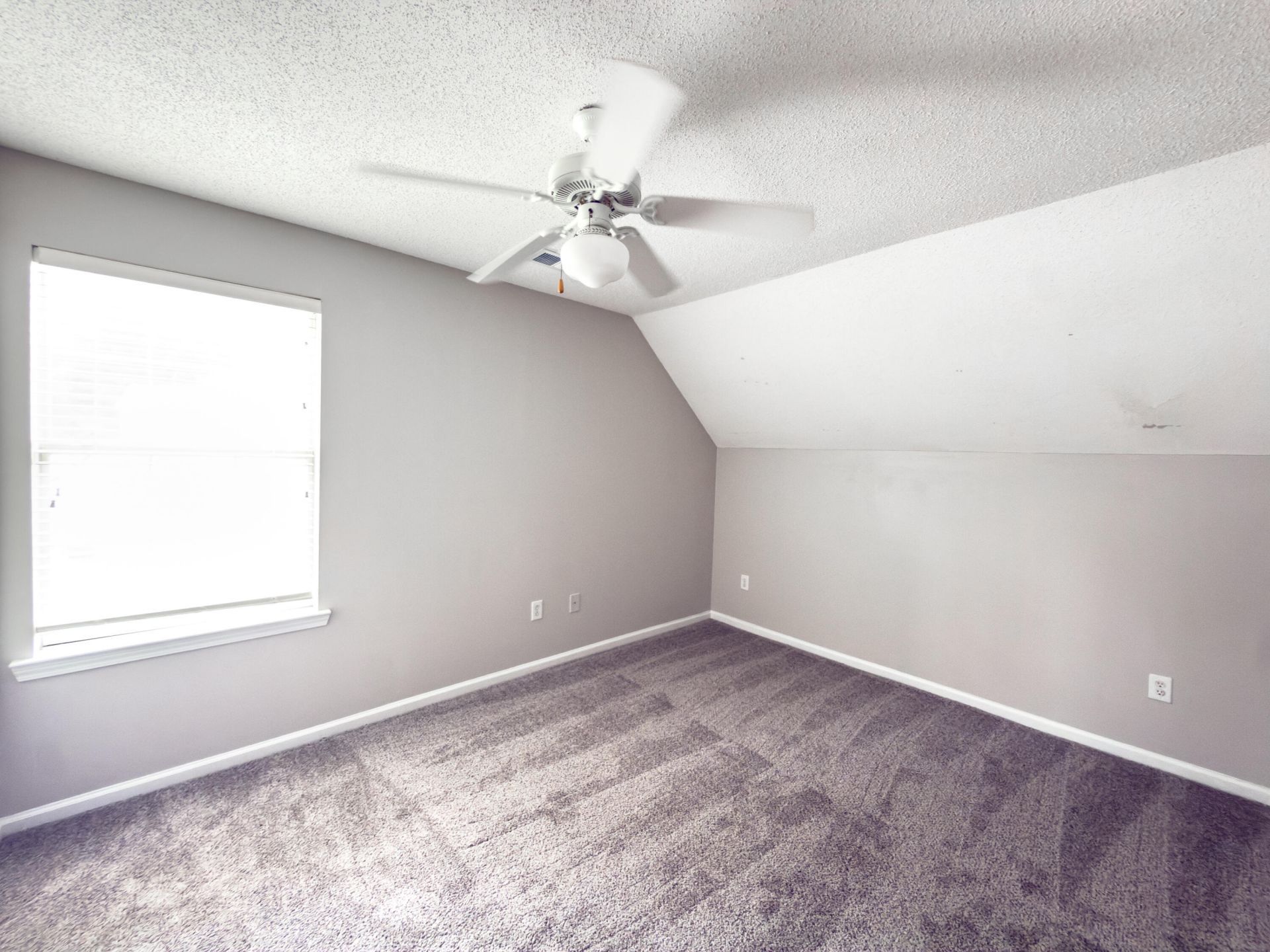 4841 Habersham Lane Photo 12