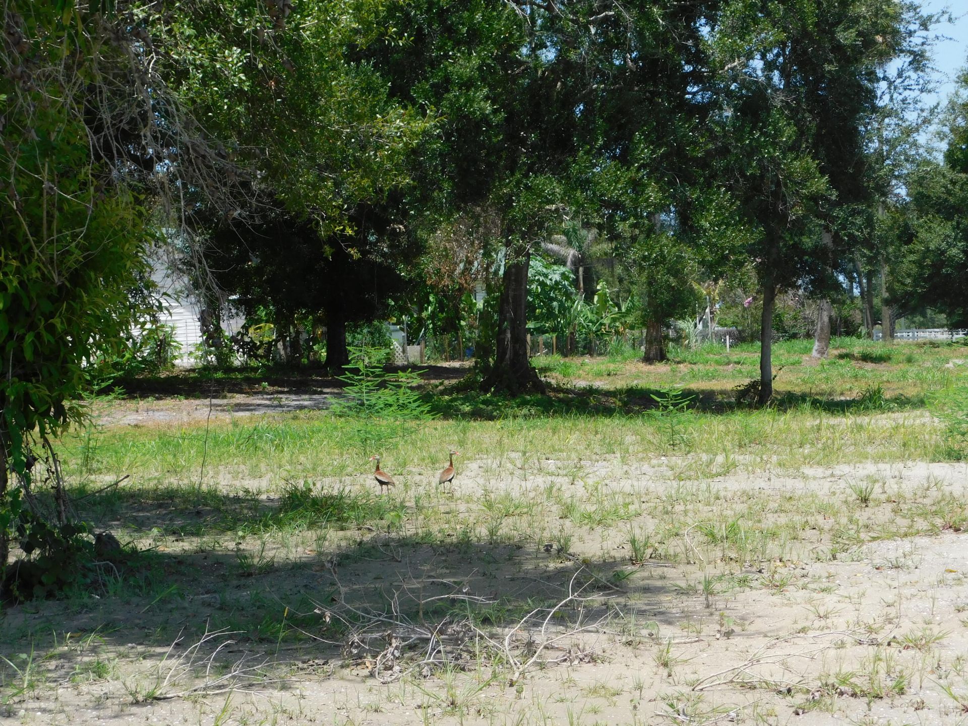 3625 Sunrise Boulevard, Fort Pierce, FL 34982 Photo