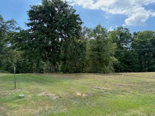 TBD Cypress Creek Drive , Diana, TX 75640