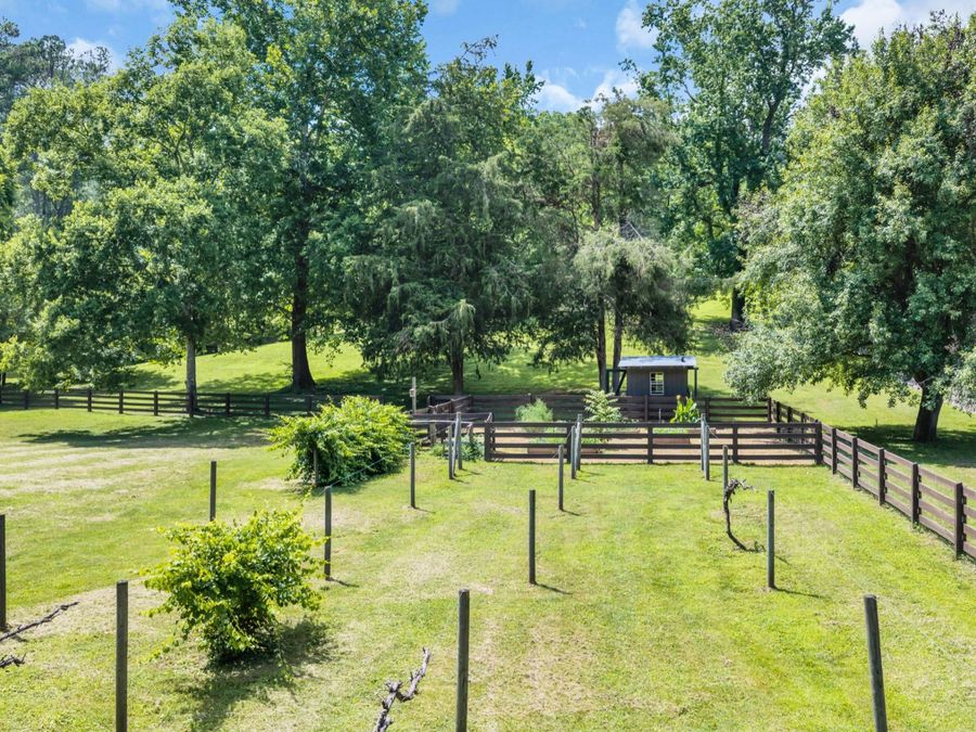 Property Image 58