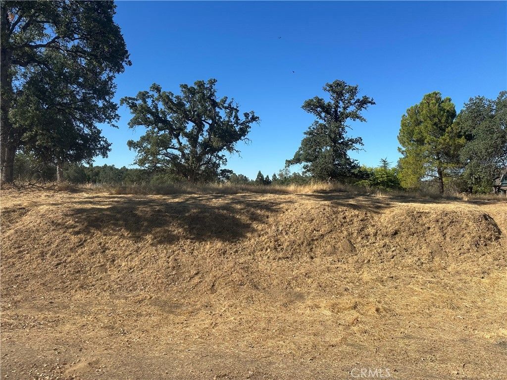 0 Revis Way, Coarsegold, CA 93614 Main Photo