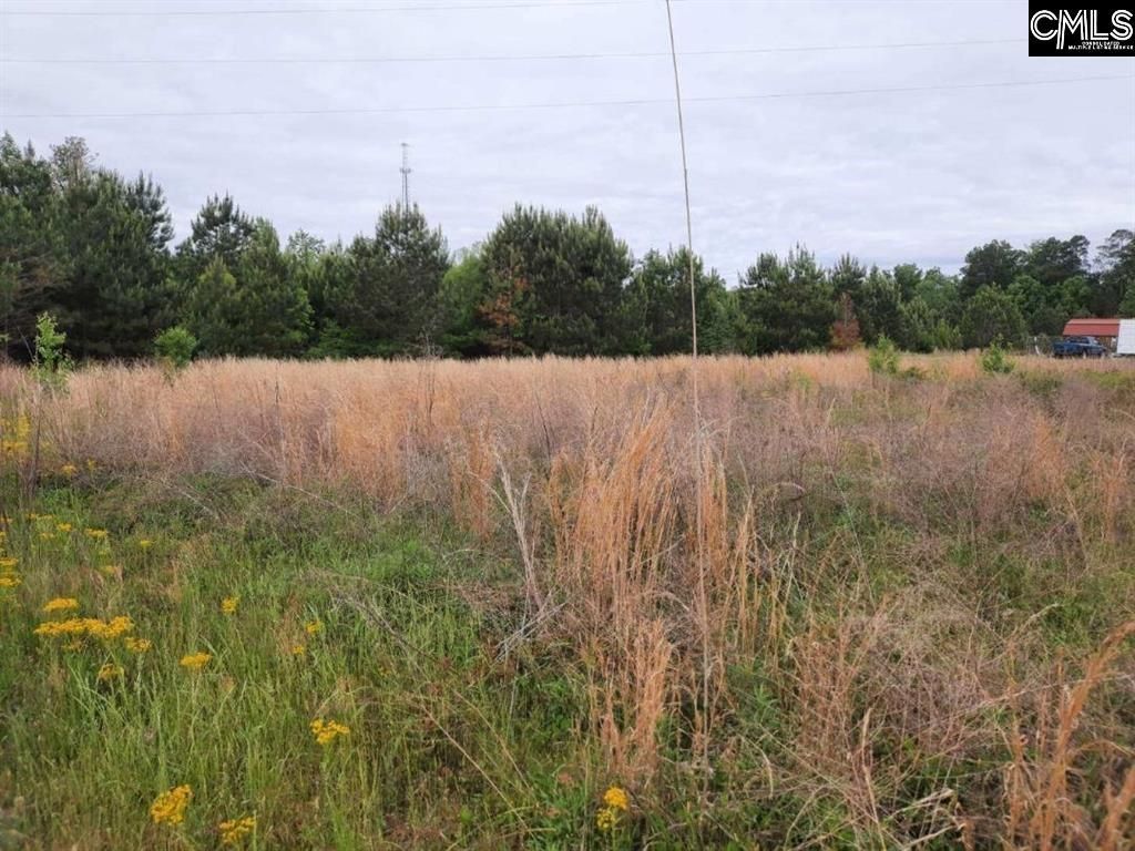 177 Thomas Griffin Road Photo 5