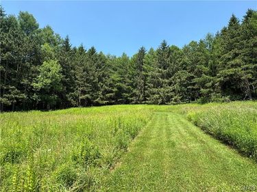 2 Bonney Hill Rd Road, Hamilton, NY 13346