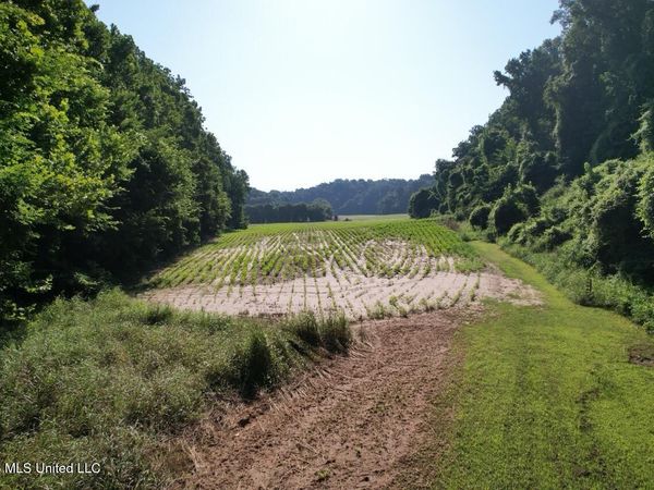 Annas Bottom Road, Natchez, MS 39120