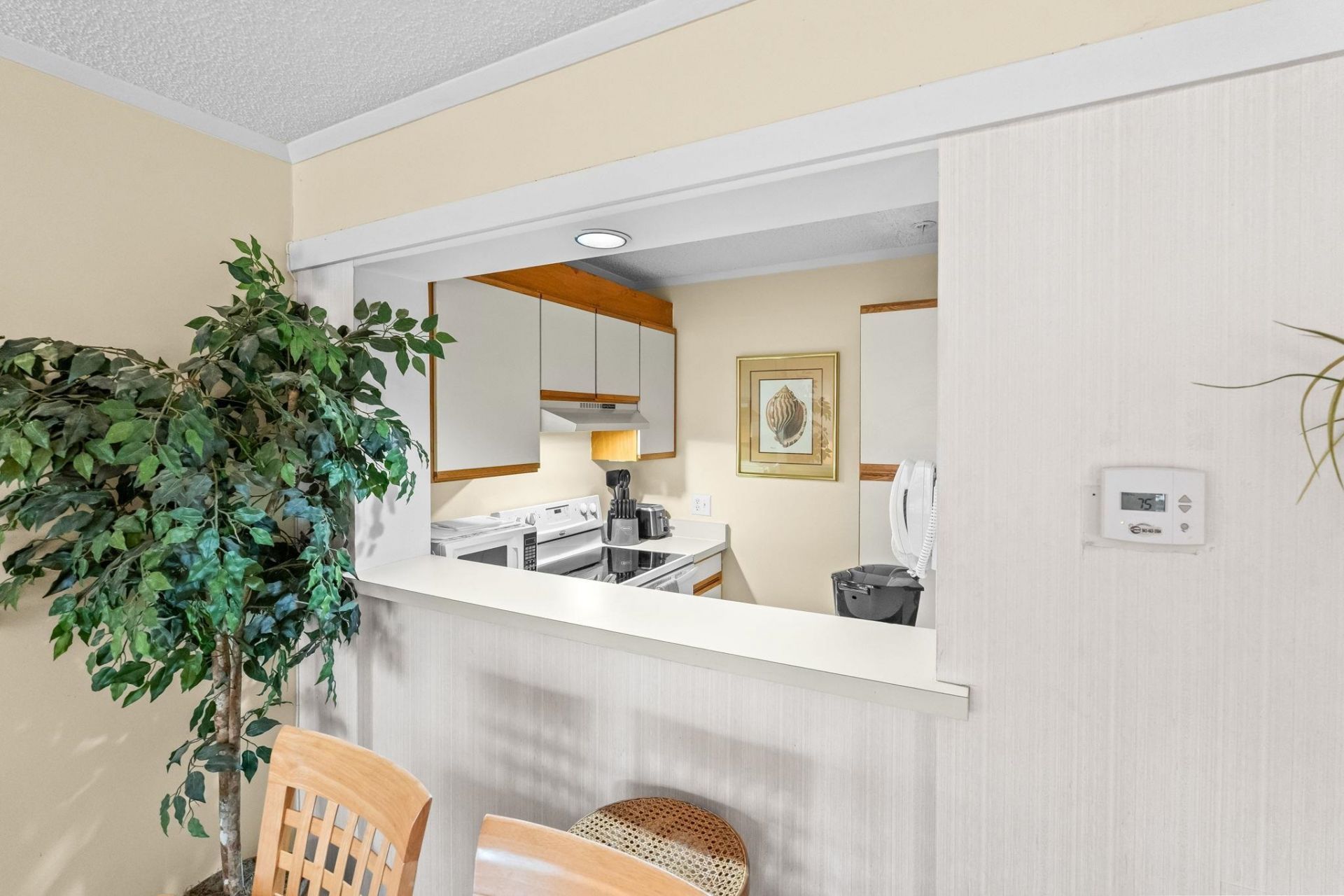 415 Ocean Creek Dr. Photo 14