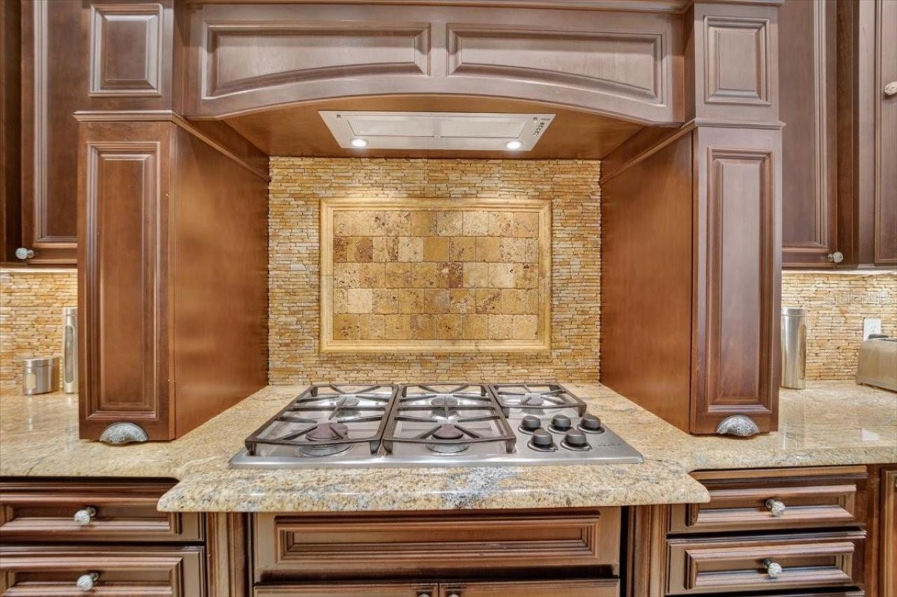 15707 Cochester Road, Tampa, FL 33647 Photo