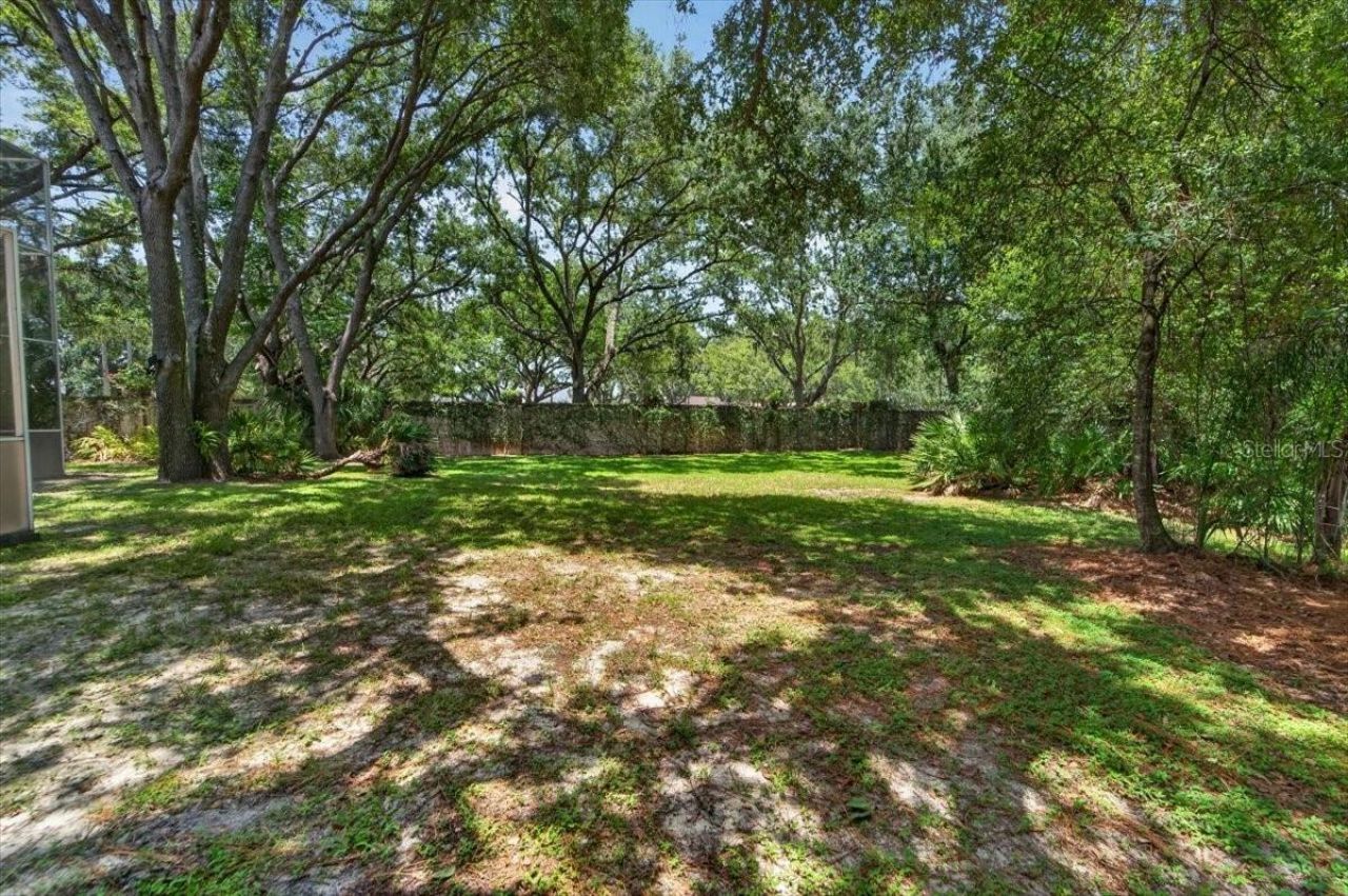 15707 Cochester Road, Tampa, FL 33647 Photo