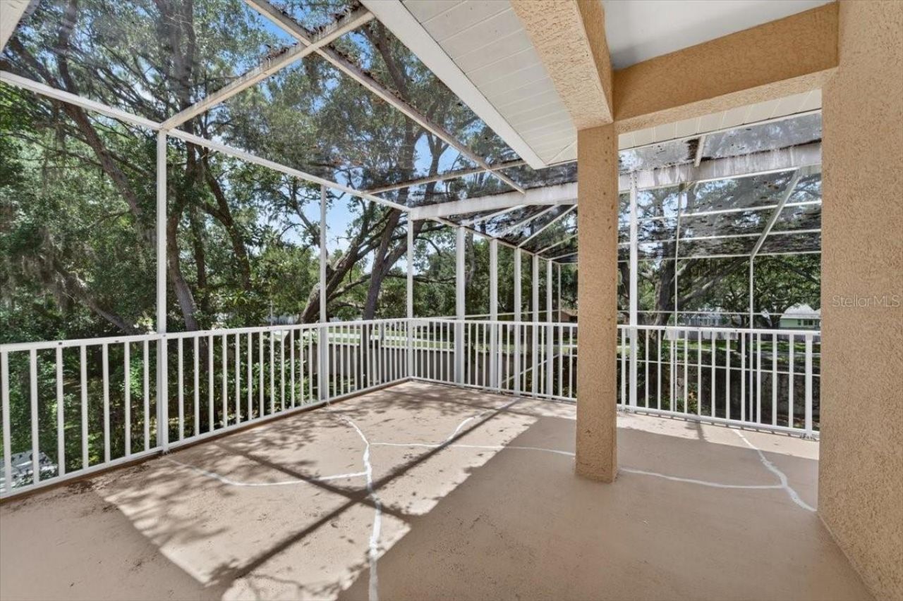 15707 Cochester Road, Tampa, FL 33647 Photo