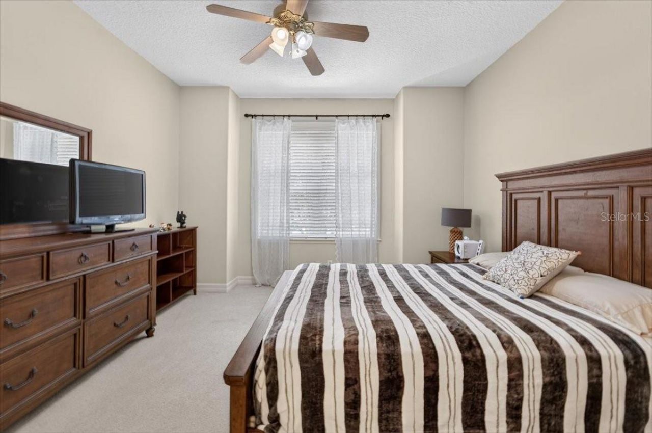 15707 Cochester Road, Tampa, FL 33647 Photo