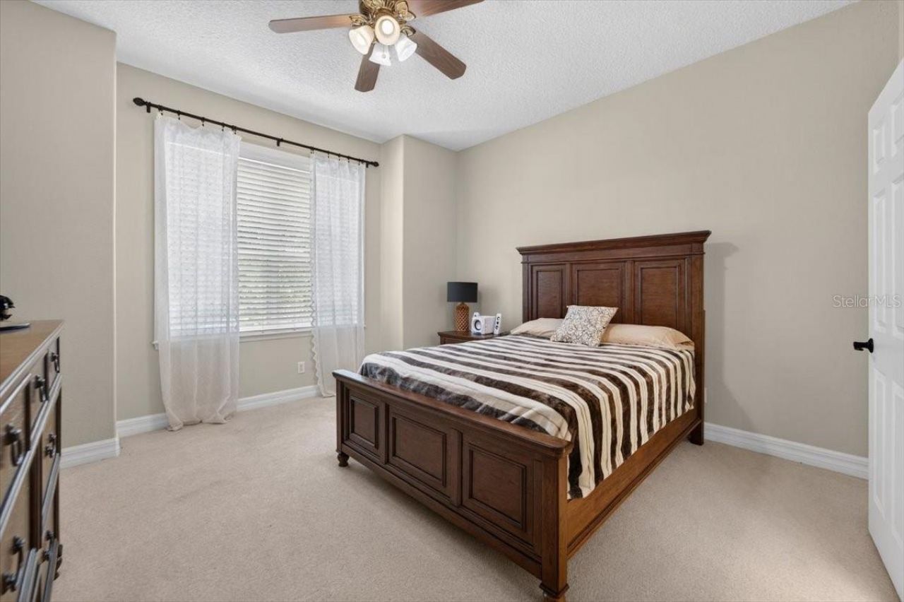 15707 Cochester Road, Tampa, FL 33647 Photo