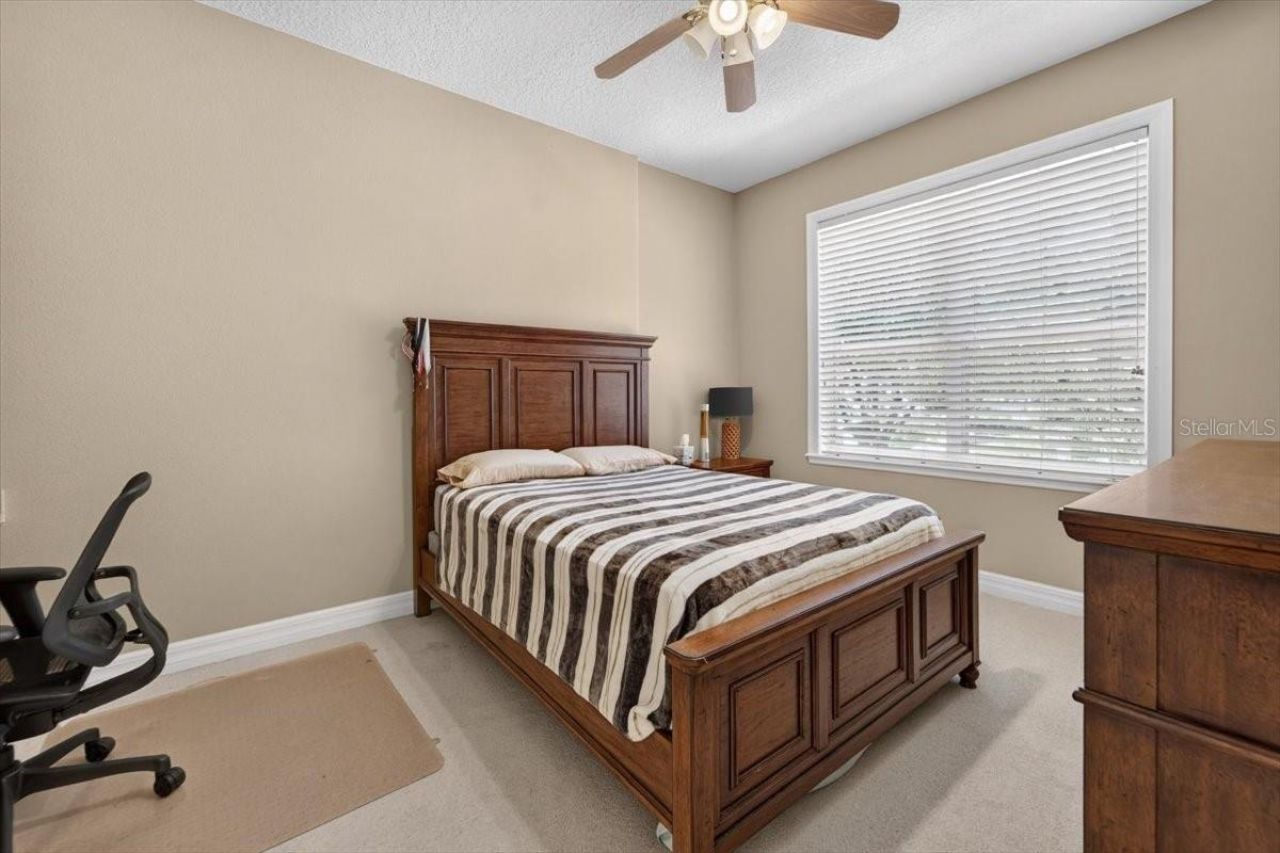 15707 Cochester Road, Tampa, FL 33647 Photo