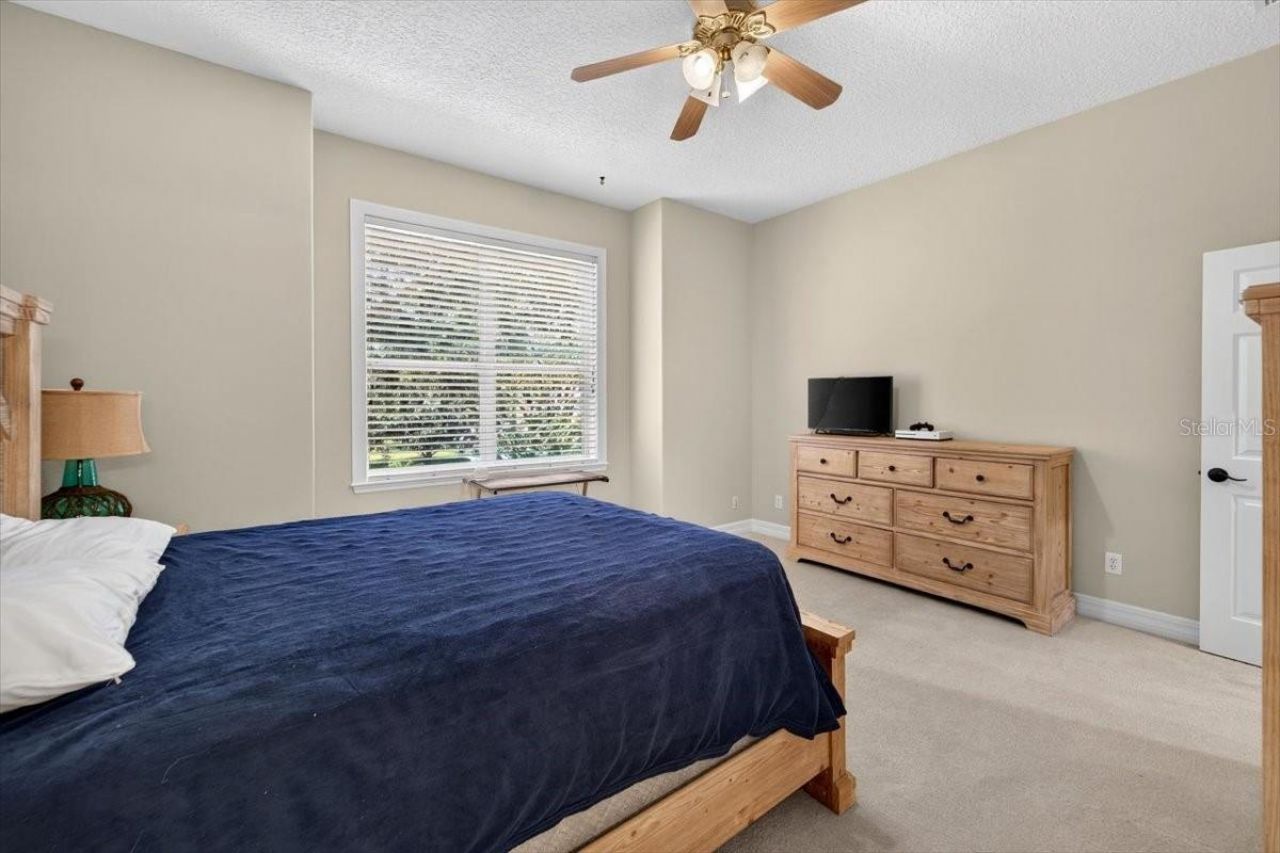 15707 Cochester Road, Tampa, FL 33647 Photo