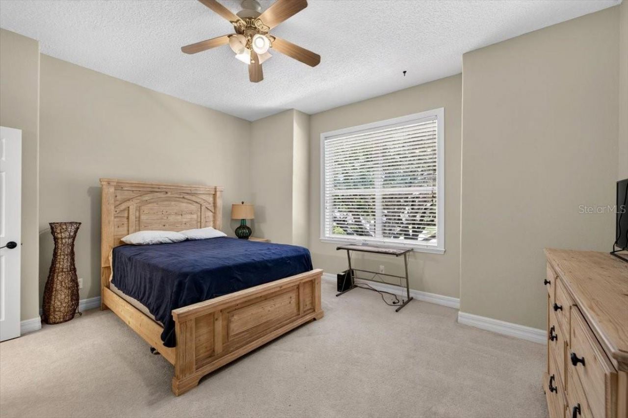 15707 Cochester Road, Tampa, FL 33647 Photo