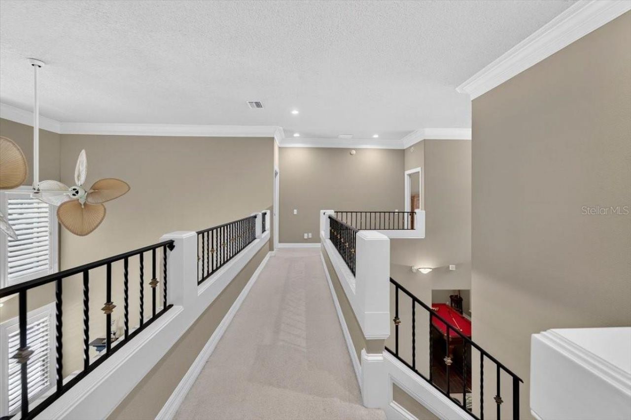 15707 Cochester Road, Tampa, FL 33647 Photo