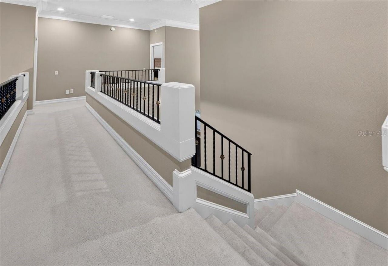 15707 Cochester Road, Tampa, FL 33647 Photo
