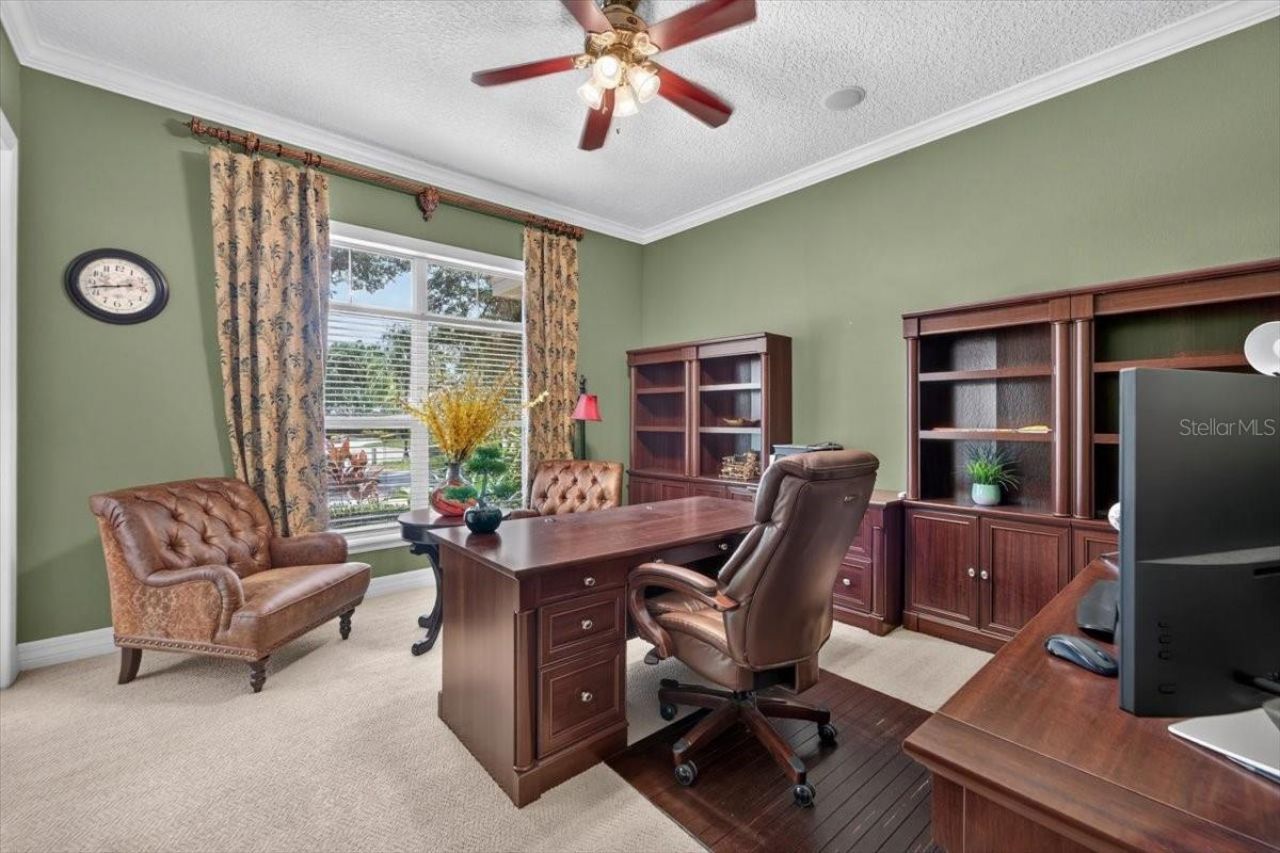 15707 Cochester Road, Tampa, FL 33647 Photo