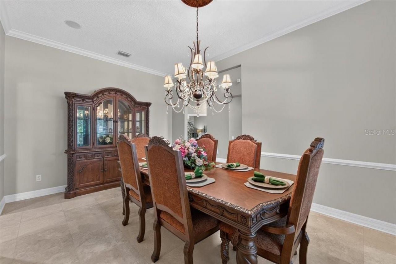 15707 Cochester Road, Tampa, FL 33647 Photo