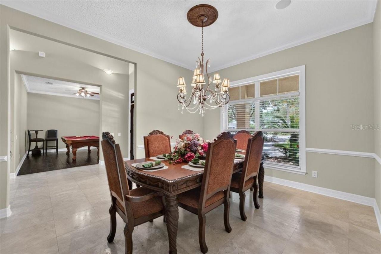 15707 Cochester Road, Tampa, FL 33647 Photo