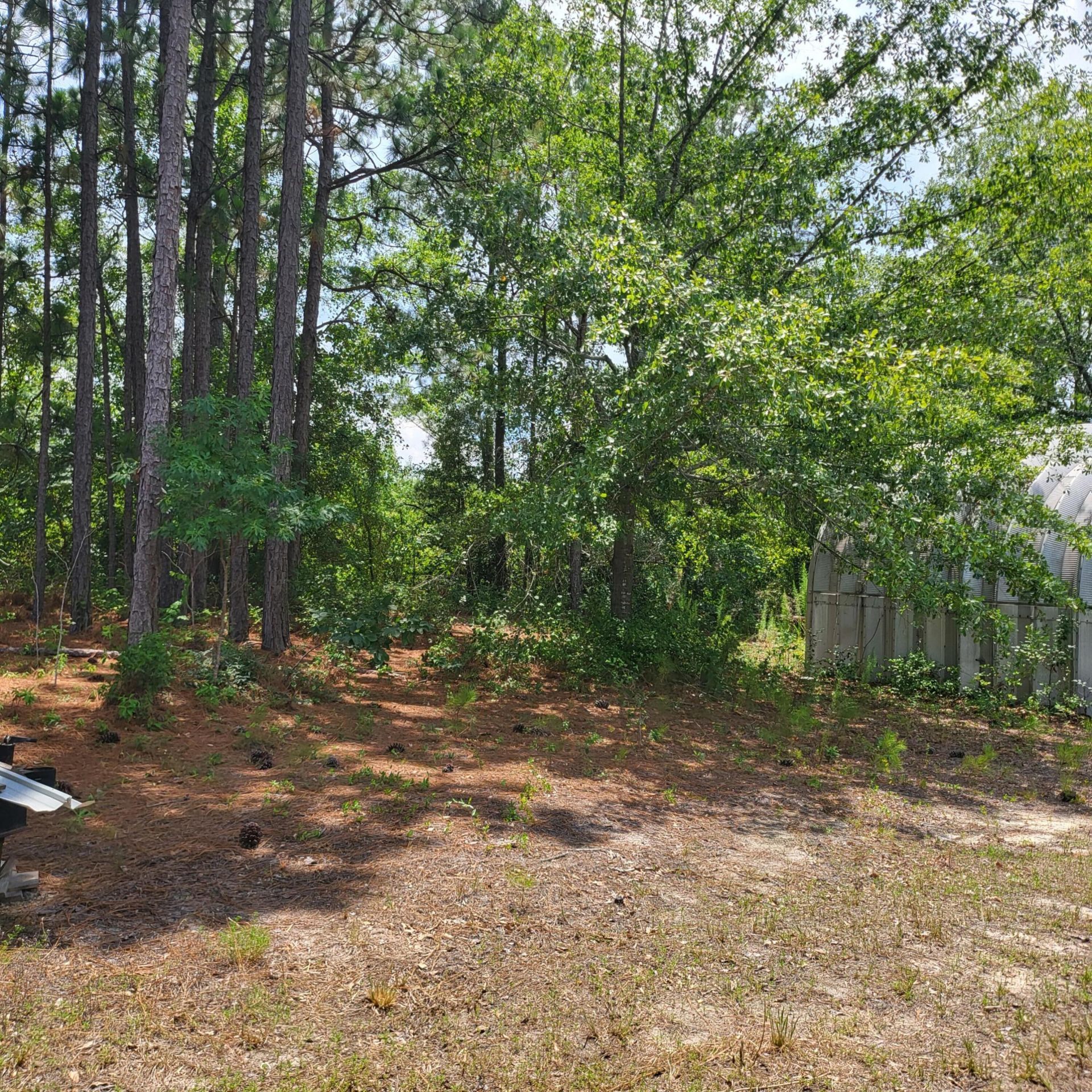 4091 Columbia Highway Photo 24