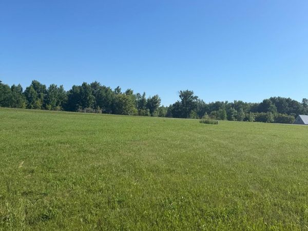 TBD Hummingbird Lane SW, Alexandria, MN 56308