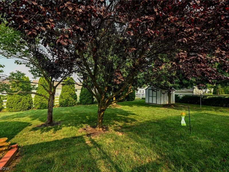 43 Sioux Drive , Rittman, OH 44270 Photo 10