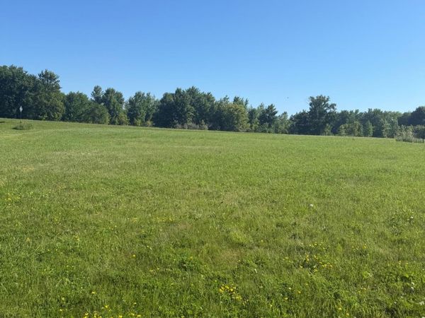 TBD Hummingbird Way SW, Alexandria, MN 56308