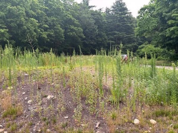 73 & 75 Manchester Street, Unit 2 lots, Nashua, NH 03064
