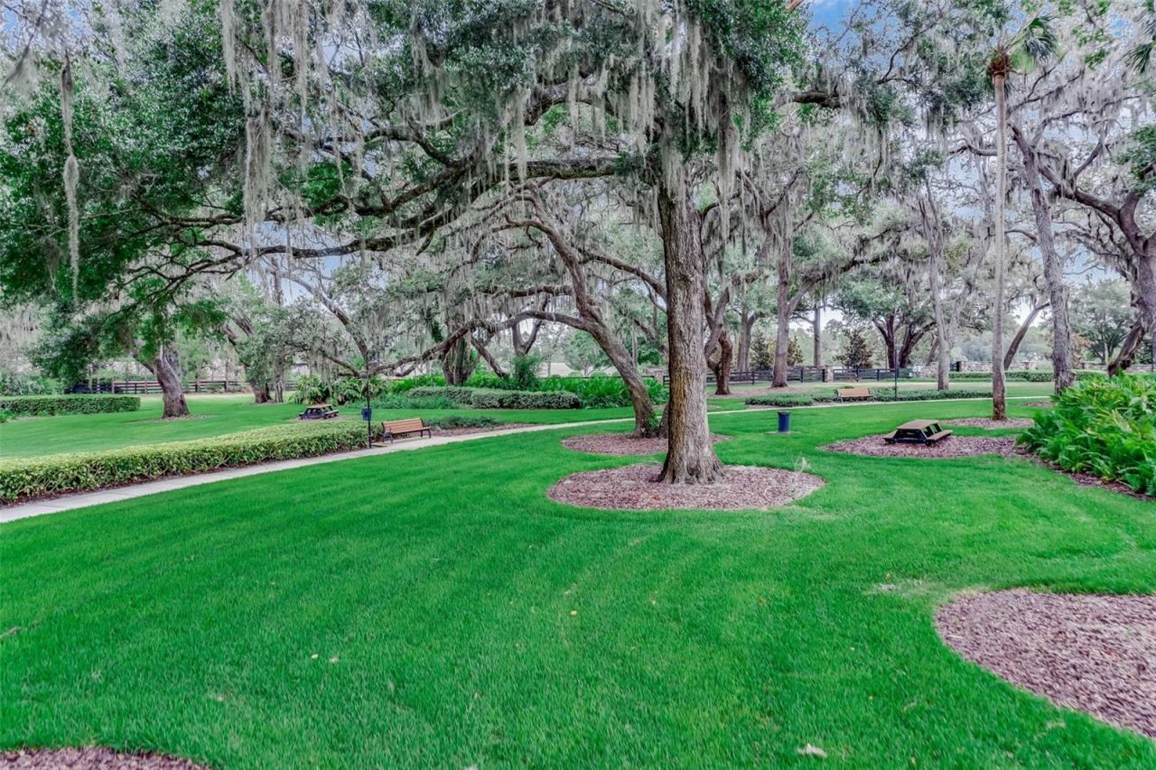 1417 Oil Lamp Cove, Lake Mary, FL 32746 Photo