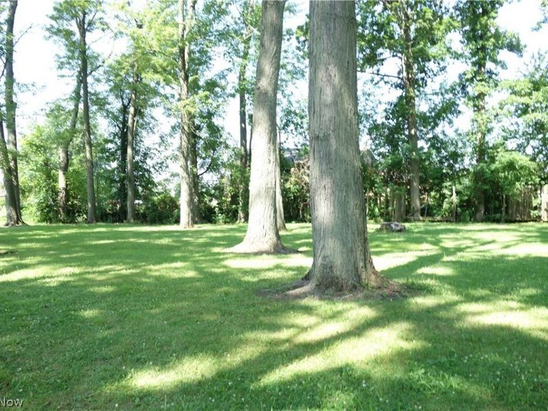3053 Barber Road, Barberton, OH 44203 Photo 8
