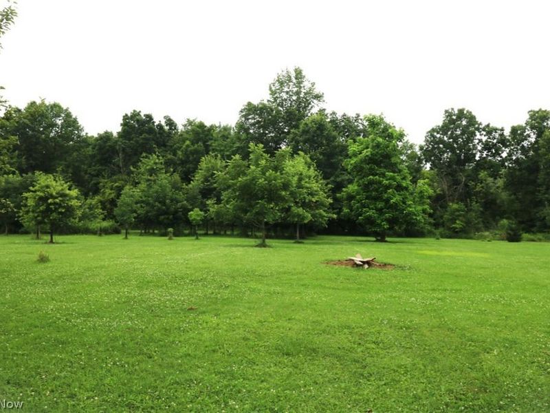 50695 State Route 18, Wellington, OH 44090 Photo 18