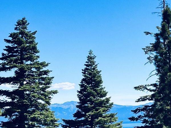 8974 Woodland Drive , Meeks Bay, CA 96142