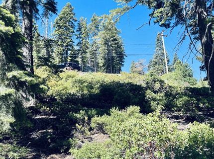 8974 Woodland Drive , Meeks Bay, CA 96142 Photo