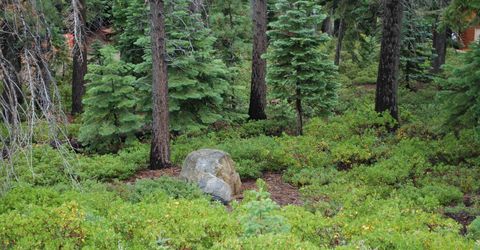 8974 Woodland Drive , Meeks Bay, CA 96142 Photo