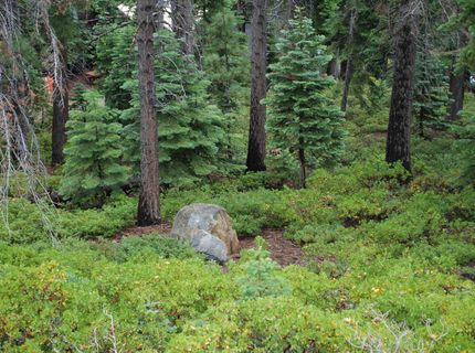 8974 Woodland Drive , Meeks Bay, CA 96142 Photo