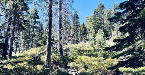 8974 Woodland Drive , Meeks Bay, CA 96142 Photo