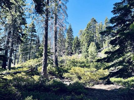 8974 Woodland Drive , Meeks Bay, CA 96142 Photo