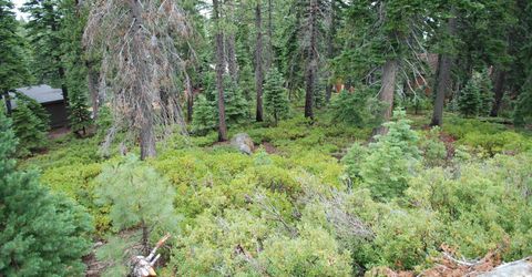 8974 Woodland Drive , Meeks Bay, CA 96142 Photo