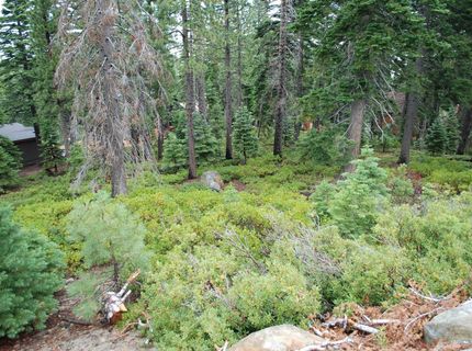 8974 Woodland Drive , Meeks Bay, CA 96142 Photo