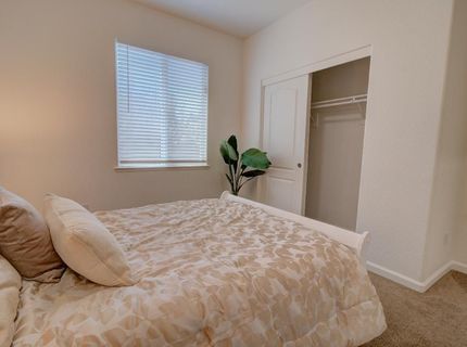 660 Bramblewood Ave, Lathrop, CA 95330 Photo