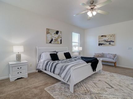 660 Bramblewood Ave, Lathrop, CA 95330 Photo