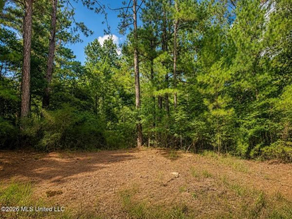 4.39 Acres Man Moulds Road, Lucedale, MS 39452