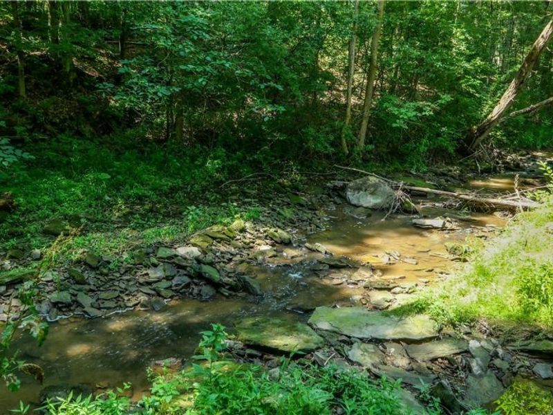 10748 Woodard Road, Deerfield, OH 44411 Photo 32