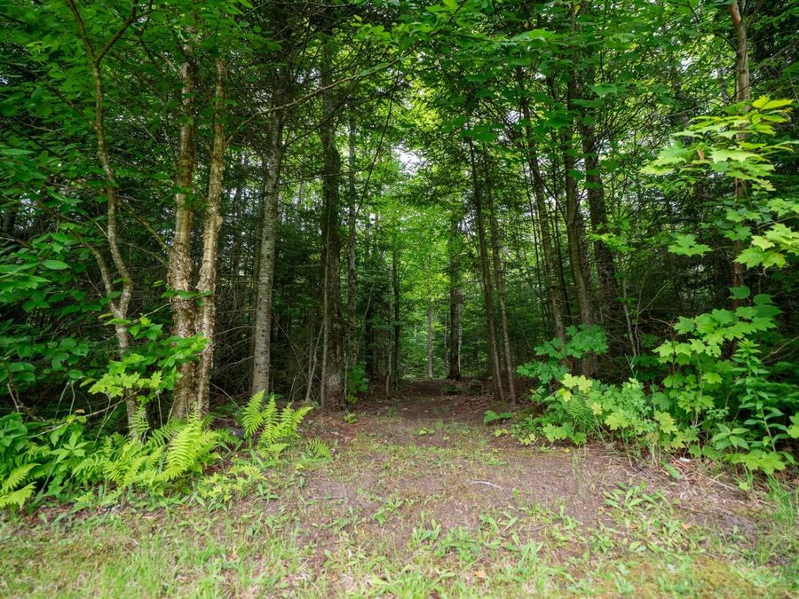 Property Image 52