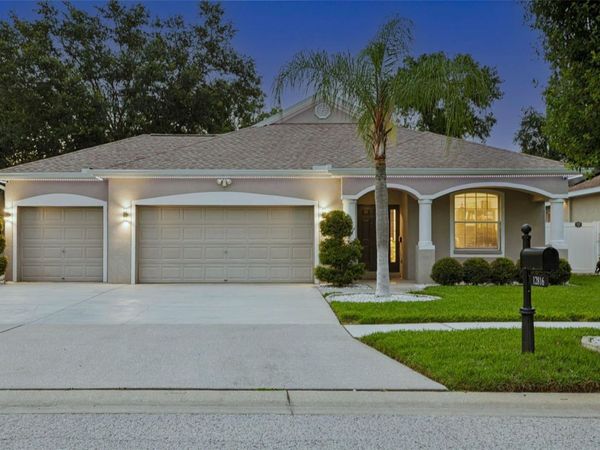 12816 CATTAIL SHORE LANE , RIVERVIEW, FL 33579