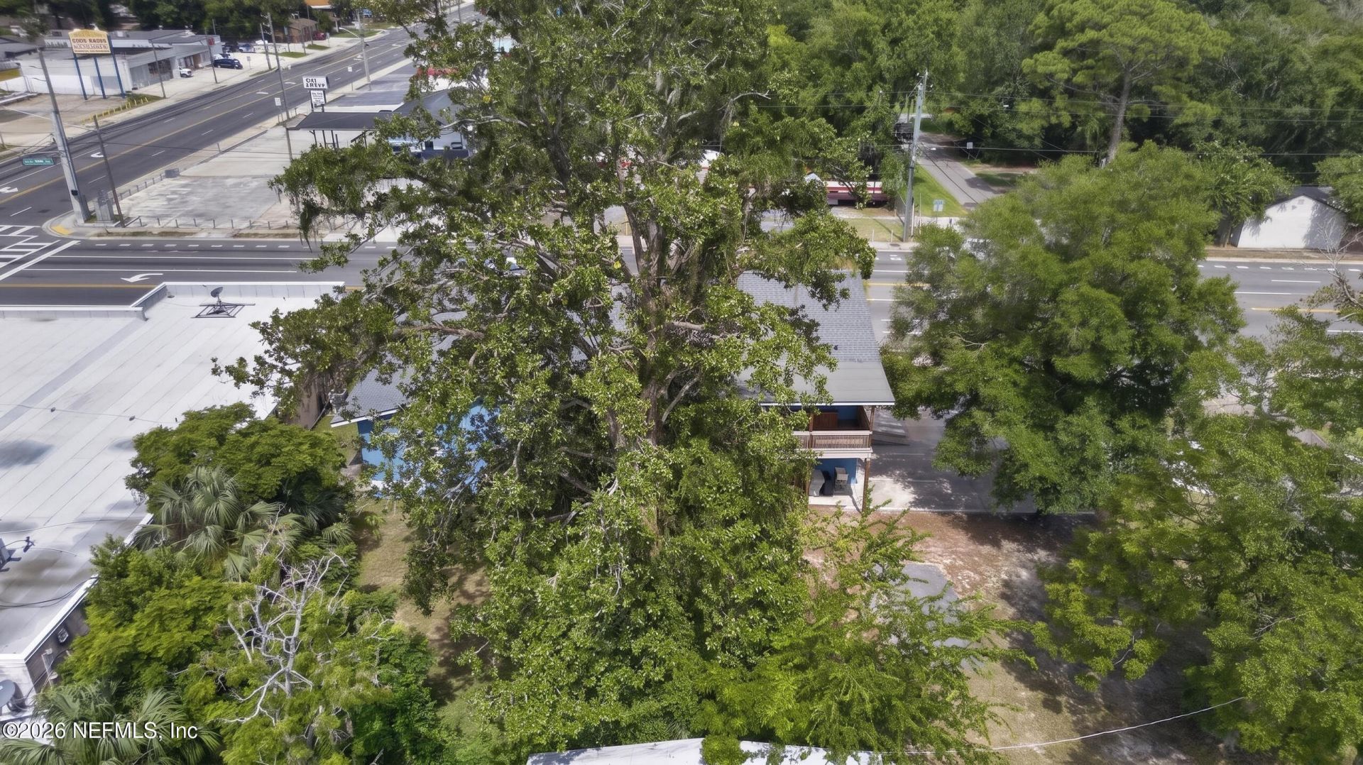 2016 Cassat Avenue, Jacksonville, FL 32210 Photo