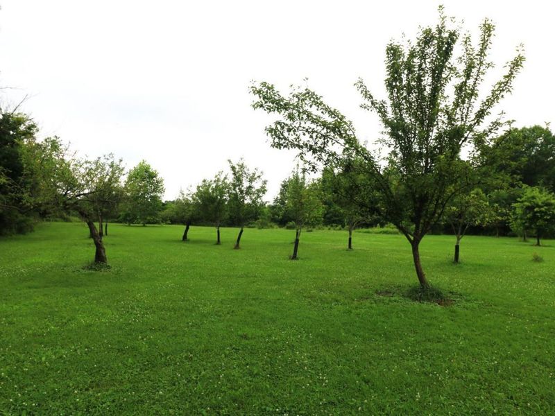 50695 State Route 18, Wellington, OH 44090 Photo 17