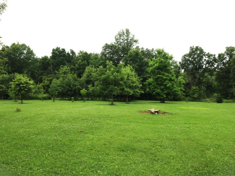50695 State Route 18, Wellington, OH 44090 Photo 18