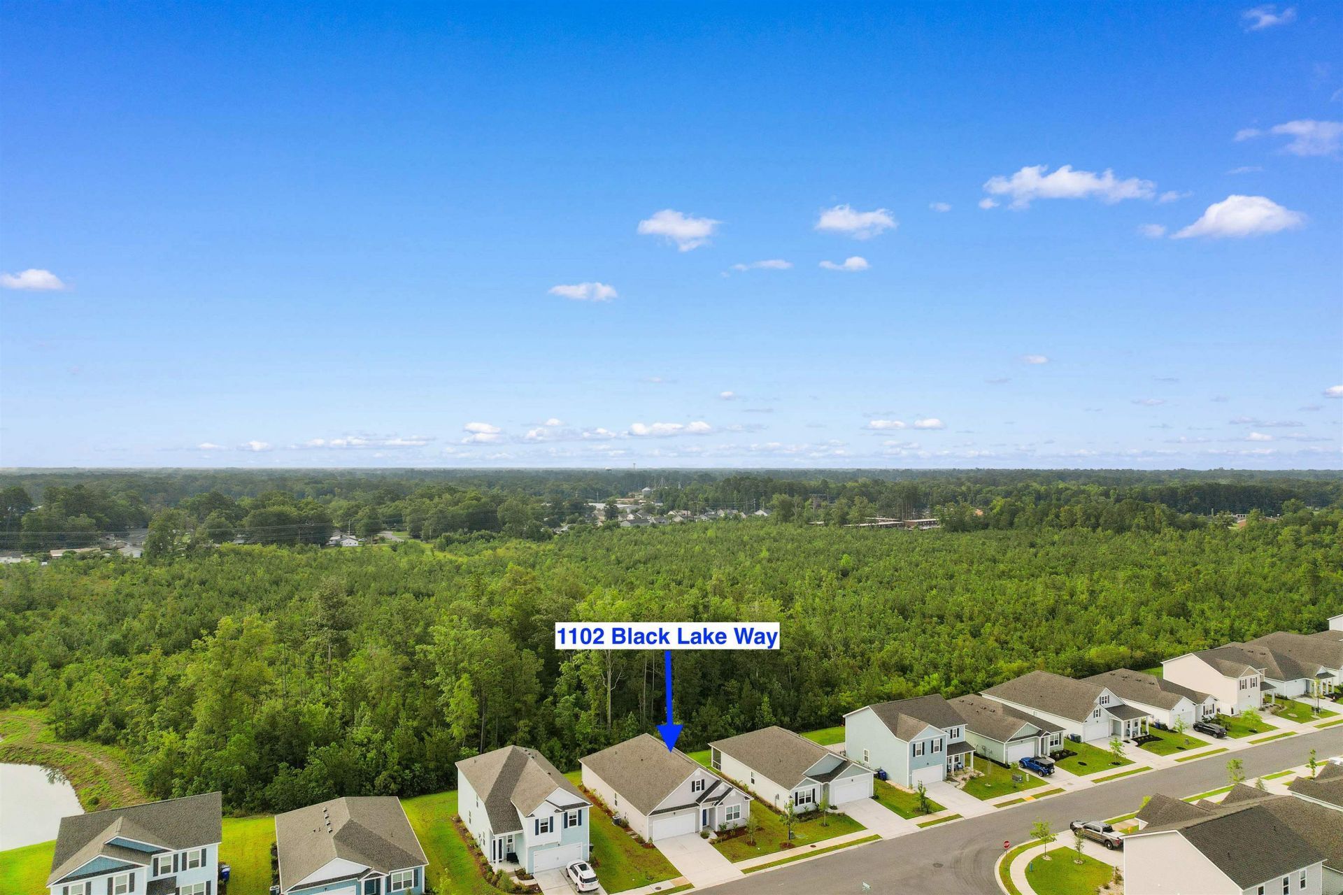 1102 Black Lake Way Photo 39