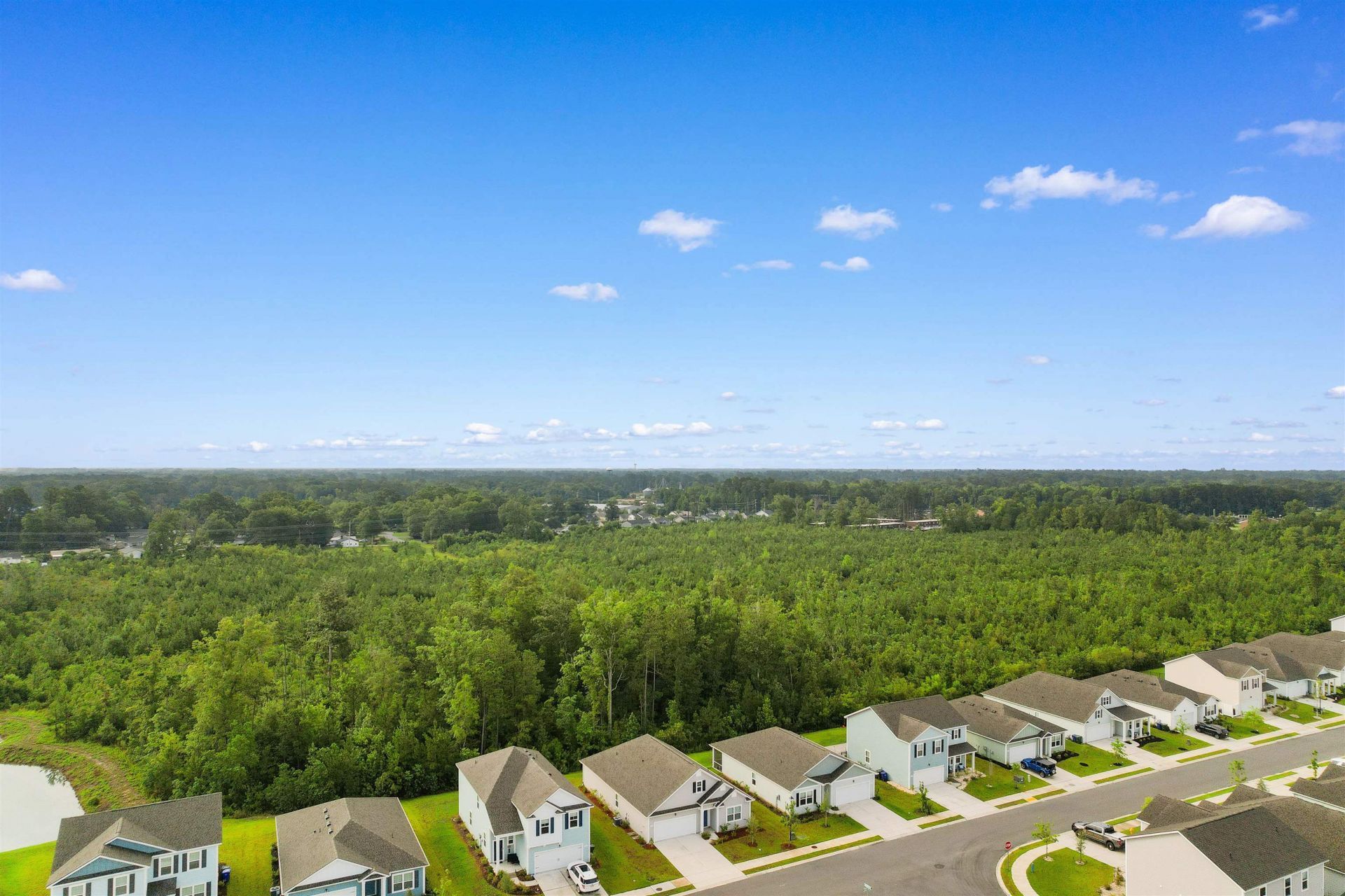 1102 Black Lake Way Photo 40